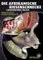 Preview: Die Afrikanische Riesenschnecke